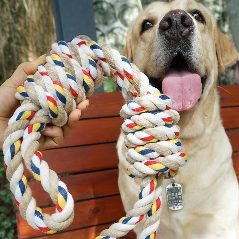 60CM Durable Molar Rope Toy for Large Dogs - Ideal for Rottweilers and Golden Retrievers - WF1015