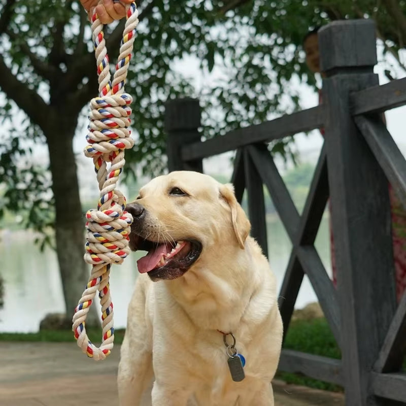 60CM Durable Molar Rope Toy for Large Dogs - Ideal for Rottweilers and Golden Retrievers - WF1015